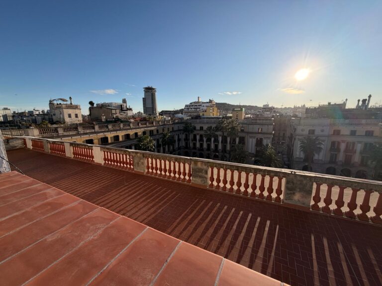 WhatsApp Image 2026-03-04 at 17.44