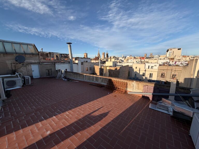 WhatsApp Image 2026-03-04 at 17.44