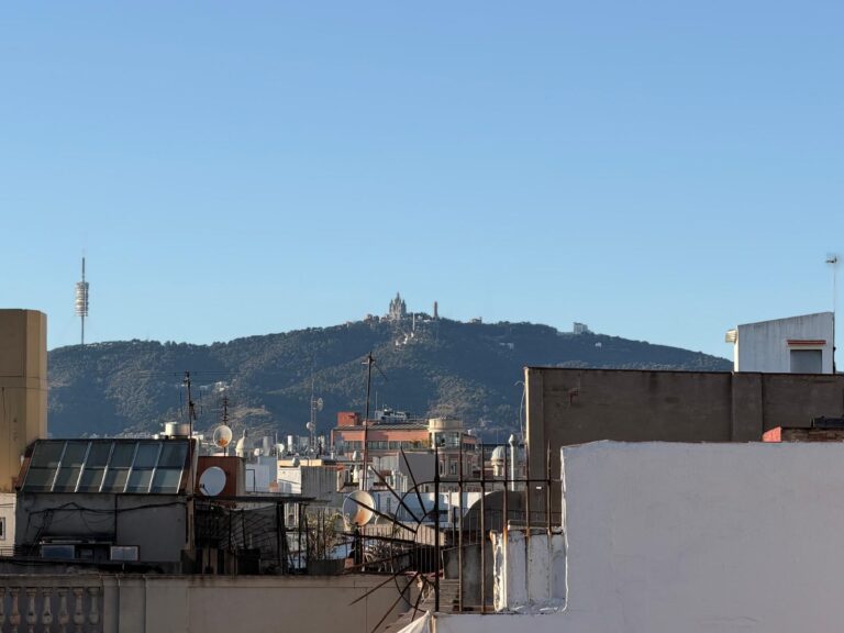 WhatsApp Image 2026-03-04 at 17.44