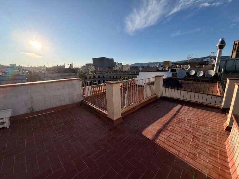 WhatsApp Image 2026-03-04 at 17.44